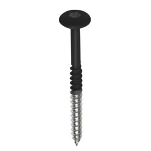 Fisinox kleurkopschroef 4,8 x 38 T20 A2 RAL 9005 gitzwart