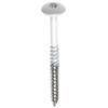 Fisinox kleurkopschroef 4,8 x 38 T20 A2 RAL 9010 wit