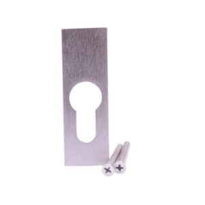 productafbeelding_11676_13.jpg QlinQ cilinderrozet 76x25mm vernikkeld