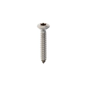 Plaatschroef DIN7983C-T 4,2x 22 T-20 rvs A4