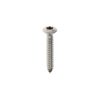 Plaatschroef DIN7983C-T 4,2x 25 T-20 rvs A2