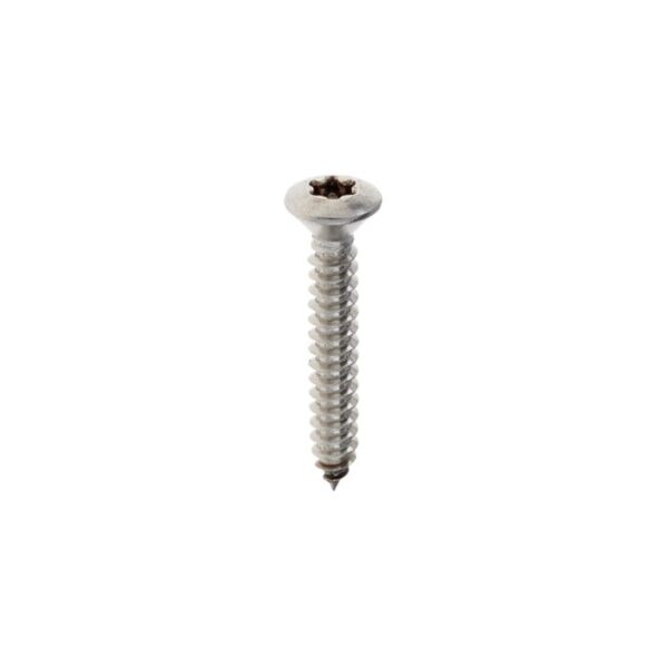 Plaatschroef DIN7983C-T 4,2x 25 T-20 rvs A2