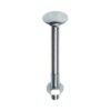 FIS Profi slotbout M10x120 4.8 verzinkt, geëtiketeerd; 1 stuks