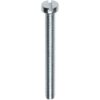 Metaalschroef DIN84 M 4x 40 cilinderkop rvs A2