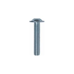 Laagbolkopschroef ISO7380-2 M 6x 45 T-30 rvs A2